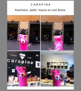 Paulchen and gelato at Carapina